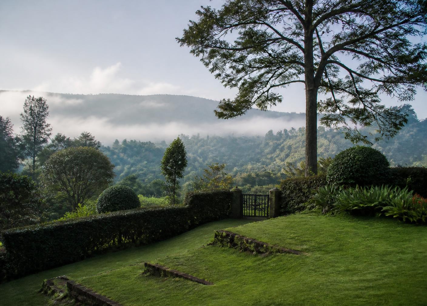 LANDSCAPE MAINTENANCE